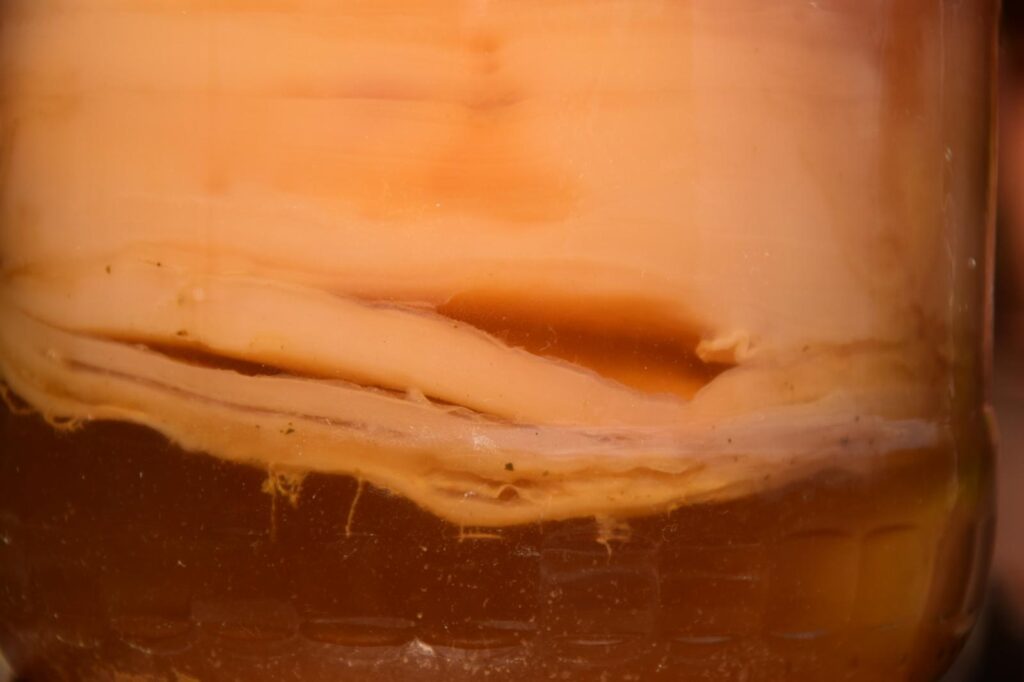 whatsapp kép, 2025 10 12, 23.50.31 0587a7bf