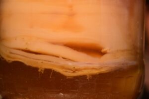 whatsapp kép, 2025 10 12, 23.50.31 0587a7bf