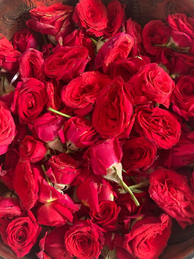 dc8a22ea 5234 4d1f 848d 81c2fec5df0f